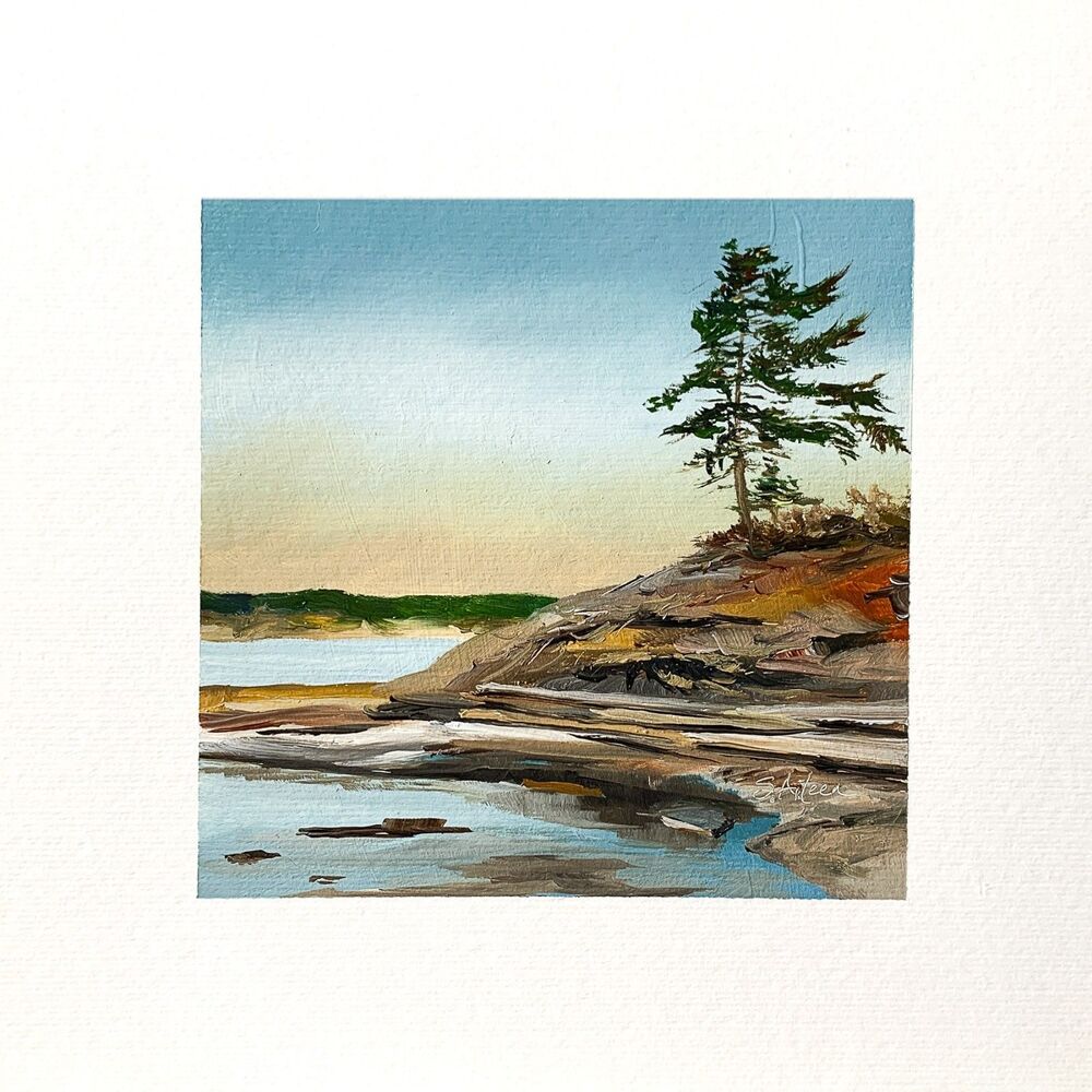 8x8 Maine Original Oil Painting Seascape Acadia Schoodic Rock Coastal Art Signed